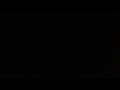 The Wiggles: Uncle Noah's Ark (Taiwan/Mandarin)