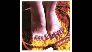 Old Man - Coachwhips