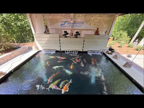 Bakki Shower Filter Koi Pond