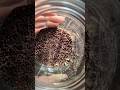 Thumbnail image 5
