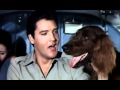 Elvis Presley -  A Dog's Life