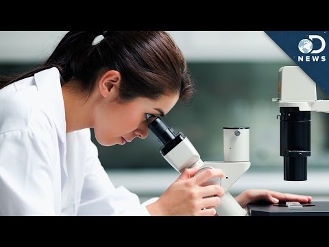 科學家如何製造微小的微觀電機？ (How Scientists Are Building Tiny Microscopic Motors)