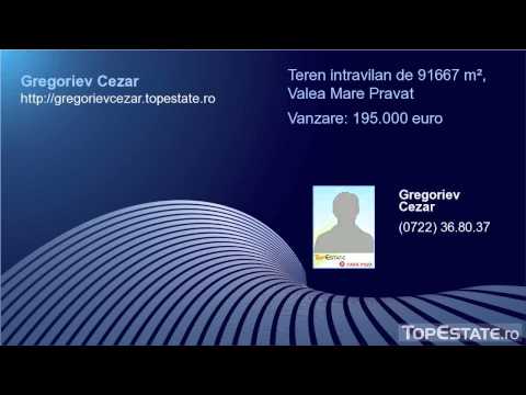 Vanzare Teren intravilan de 91667 m², Valea Mare Pravat. Vanzare 195.000 euro