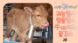 [나는농부다 300회 2부] 귀농했소 힘들었소 牛(우)리는 즐겁소