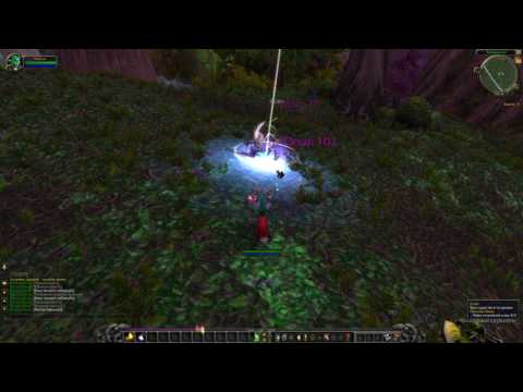 World Of Warcraft. Mini game sample. Druid