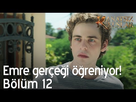 Emre gerçeği öğreniyor! - Kanatsız Kuşlar 12. Bölüm