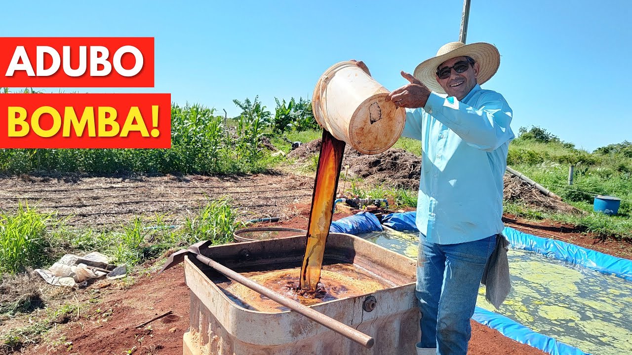 Adubo Bomba: Faça sua Planta ENGORDAR e CRESCER EXAGERADAMENTE com o Adubo Natural, Passo a Passo!