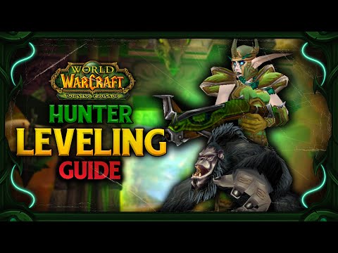 TBC Anniversary Hunter Leveling Guide | Talents, Pets, Rotation, & Tricks