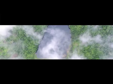 Criminal Team - Houlé