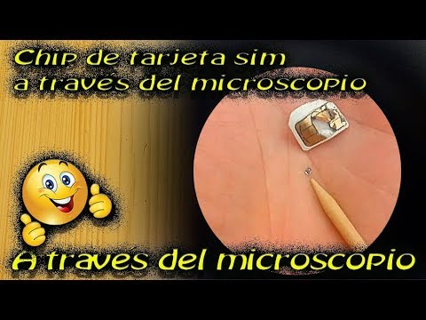 Un coleccionista de CPU destapa un chip de la era soviética conocido como «lata de pescado» para ex