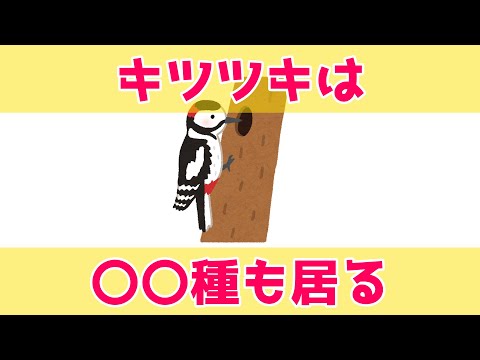 モリハラキツツキについて詳しく解説