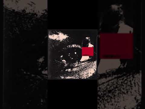 Sonder - What you heard Pt.2
