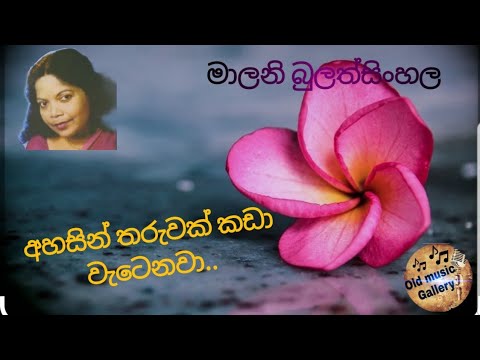 Ahasin tharuwak kada watenawa|(අහසින් තරුවක් කඩා වැටෙනවා)|Malani Bulathsinhala
