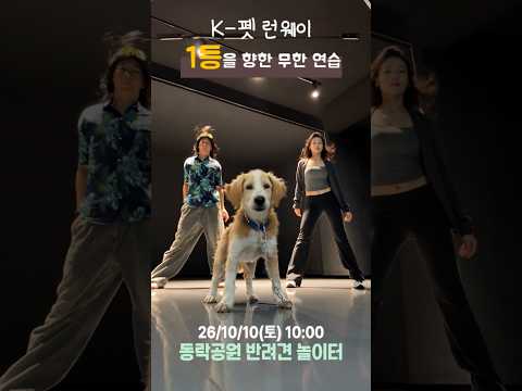 나의 반려견과 많은 추억 쌓으세요 #강아지 #반려견 #동물