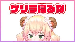 Re: [閒聊] 捏捏真的滿可愛的