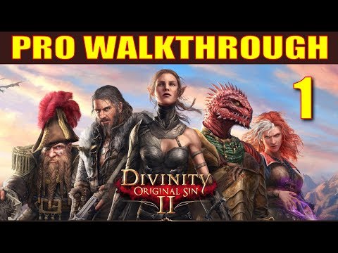 Divinity: Original Sin 2 Walkthrough Part 1 - 5 Things They Don't Tell You in Character Creation
