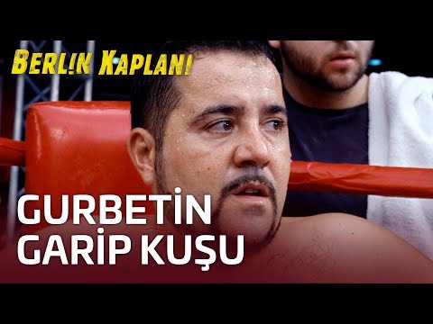 Gurbetin Garip Bir Kuşuyum | Berlin Kaplanı