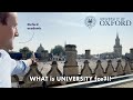 WHAT Is UNIVERSITY For