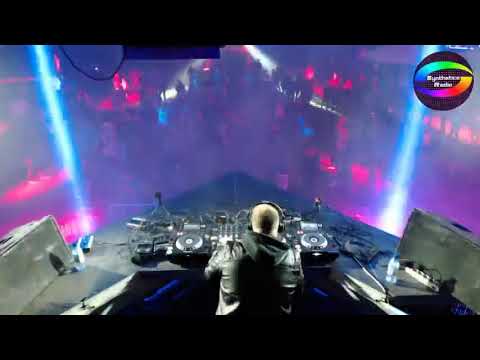 Progroyal Live Mehanika 26 05 18