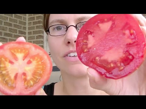 , title : 'Wat is het verschil tussen tomaten vers uit eigen tuin en deze die je koopt in de winkel?'