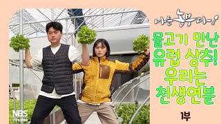 [나는농부다 297회 1부] 물고기 만난 유럽 상추! 우리는 천생연분