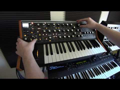 Synth Stuff Ep. 7 - Moog Sub 37