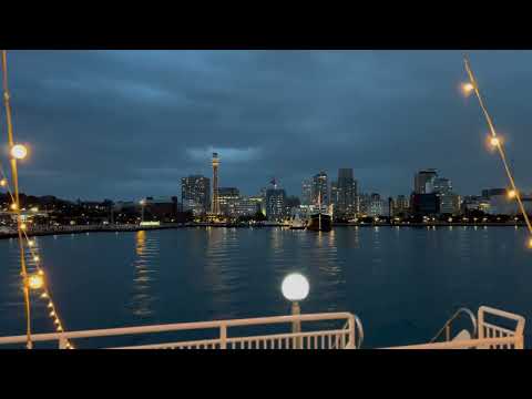 ゼミ懇親会　横浜港の夜景