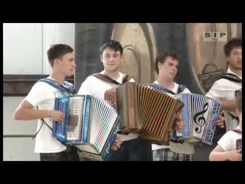 Harmonikarski orkester AS Trebnje - Hišca ob cest stoji