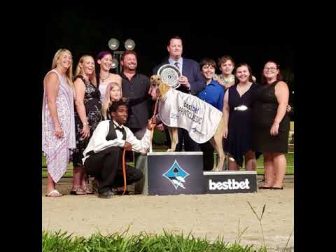 bestbet Sprint Classic 2019