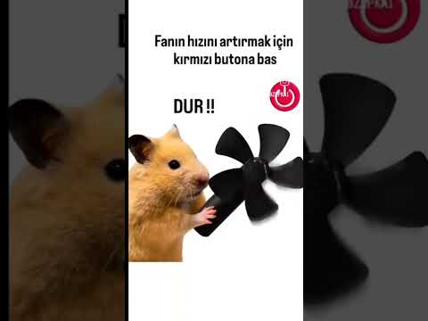 #keşvett #chocolate #art #unboxing #cute #sanrio #bayramusta #kuromi #nutella #kushti