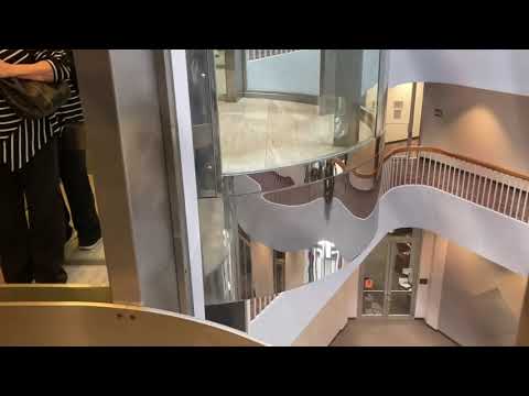 EPIC MOTOR! INCREDIBLE SCENIC Montgomery UNIPROM Hydraulic Elevators || Crystal Park Plaza - CS
