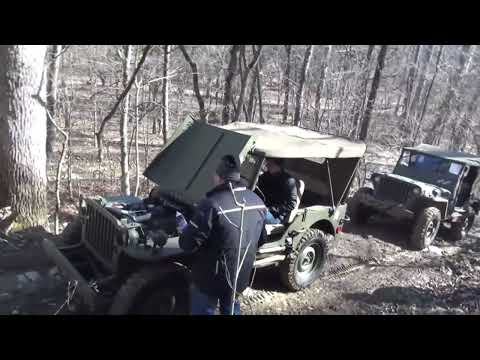 Willys Jeeps Off-Road - Dirty Turtle - Mud & Hill Climbing