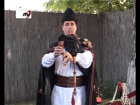 Gelu  Voicu -  Parada  instrumentelor