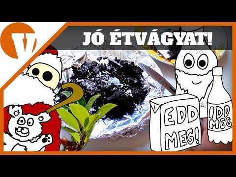 Főzzük ki a kólát - Jó lesz az ebédre