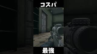 【WARDOGS】コスパ最高なAR