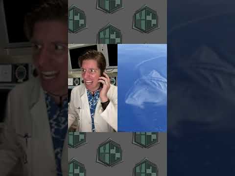 What do you mean "SCP-3000 is on the move"? 🤨 #drsherman #site42 #scp #scpfoundation