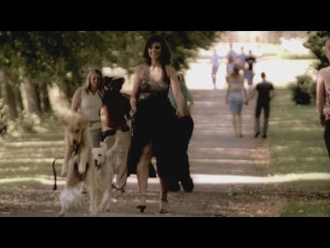 Wim Soutaer - Allemaal (met Tess)