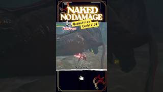 【全クリへの道】裸ノーダメージ片手剣傷破壊の方法