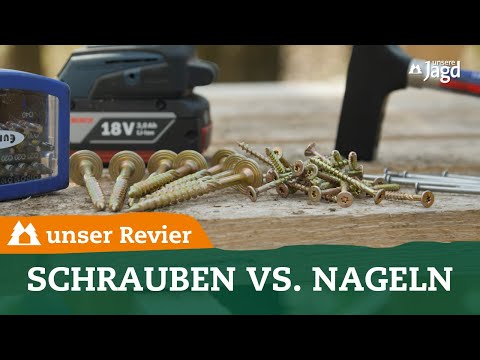 Screwing vs. nailing | Building a tree stand | Setting up a hunting area | Our hunting area | #35