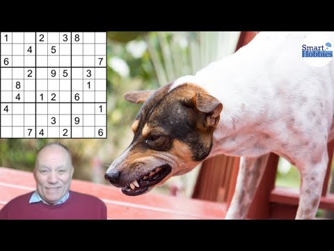 How Cracking The Cryptic Solved A "VICIOUS" Sudoku - Sudoku Analysis 39
