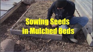 Seed Sowing Techniques for Mulched Beds