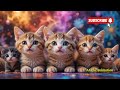 An Orange Chubby Cat Teaching In Class Room Cat Cats Catlover Catschool School Funny Kitten