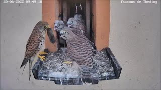 Dining on the balcony