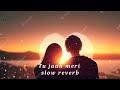 Tu Jaan Meri Tu Dil Hein Slow Reverb Lofi Song