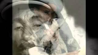 Lee Perry "Vibrate on" Dubplate mix