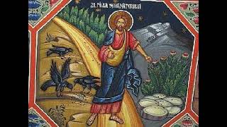Thứ 4 Tuần XVI Thường niên