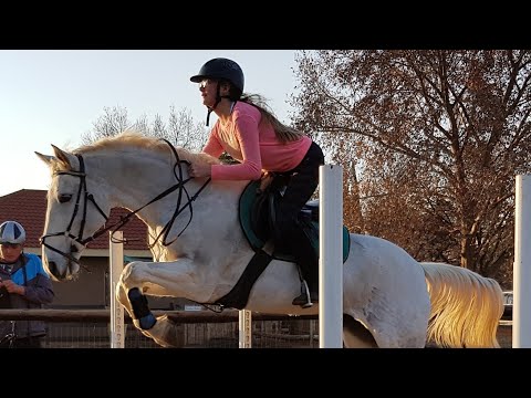 Seyunique Equestrian- curve exercise 2016