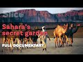 Sahara's secret garden | SLICE | Full documentary - SLICE Sahara's secret garden | SLICE | Full documentary