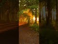 Clean Bandit Sean Paul Anne Marie Rockabye Slowed Reverb