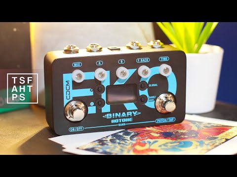 Hotone Binary Eko Delay 2018 - Black/Blue image 5